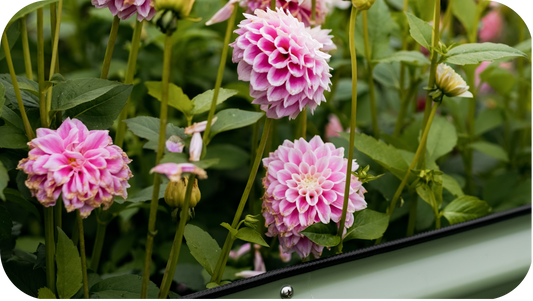 The Planet Loves Raised Bed Gardening, and So Will You