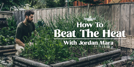 Beat the Heat: Essential Gardening Tips for Summer Success