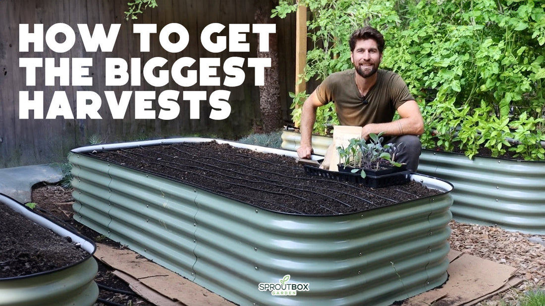 How to Set Up the Perfect Metal Raised Bed (Step‑By‑Step Guide)
