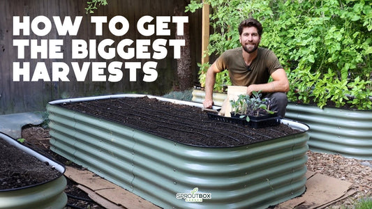 How to Setβ―Up the Perfect Metal Raised Bed (StepβByβStep Guide)