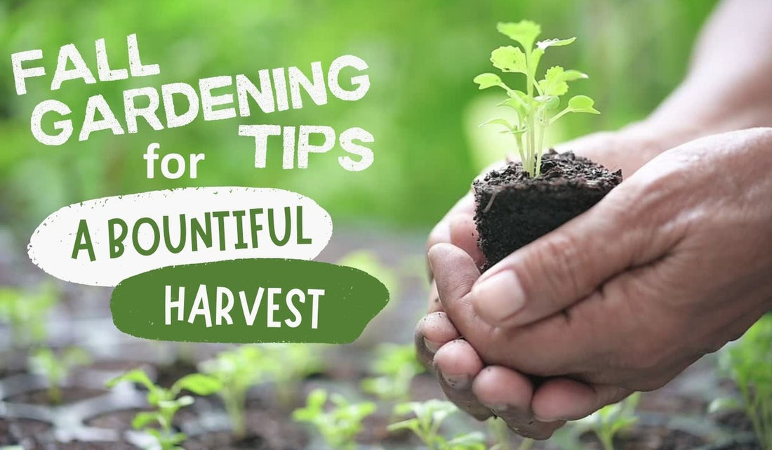 Fall Gardening Tips for a Bountiful Harvest