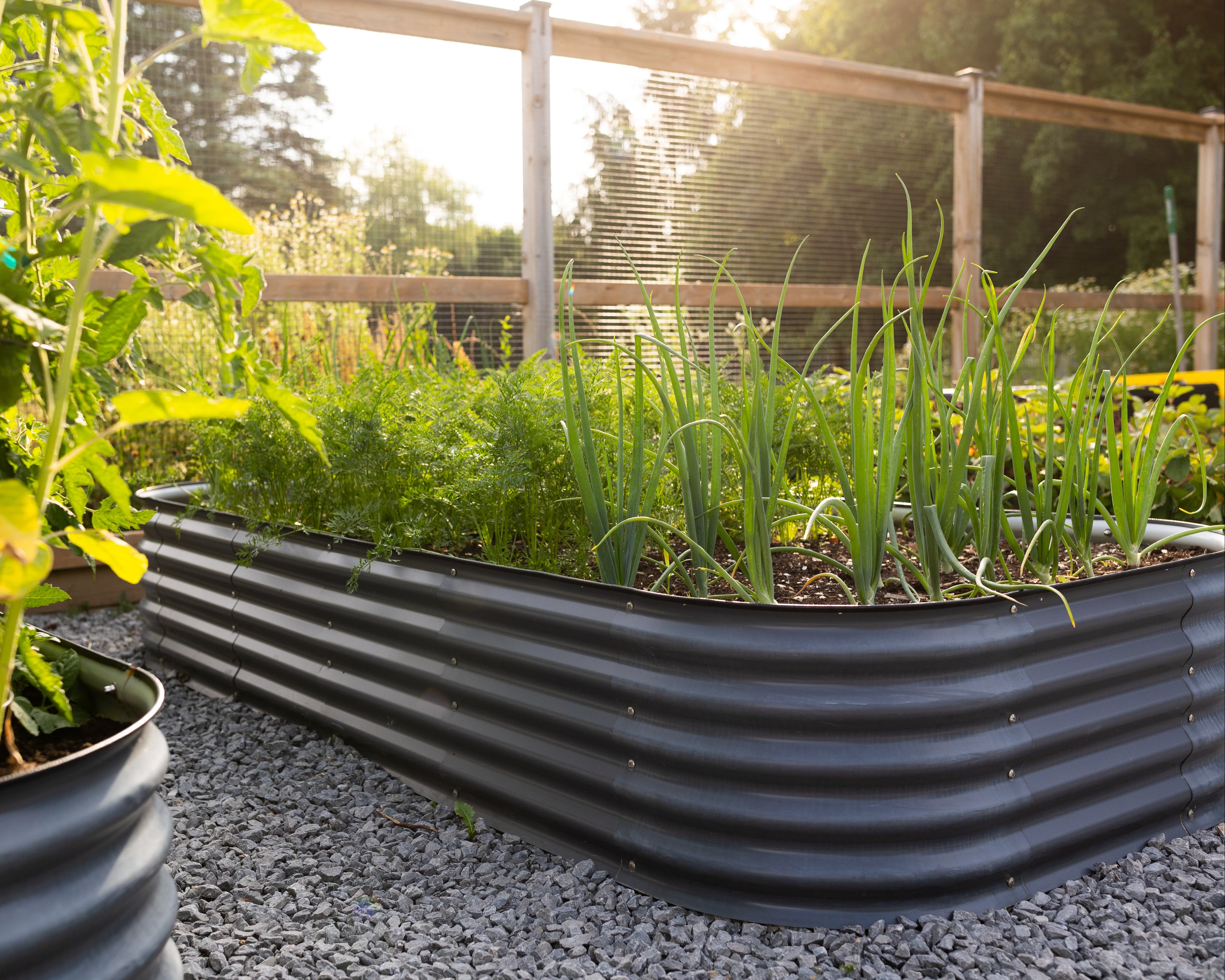 Raised Garden Beds