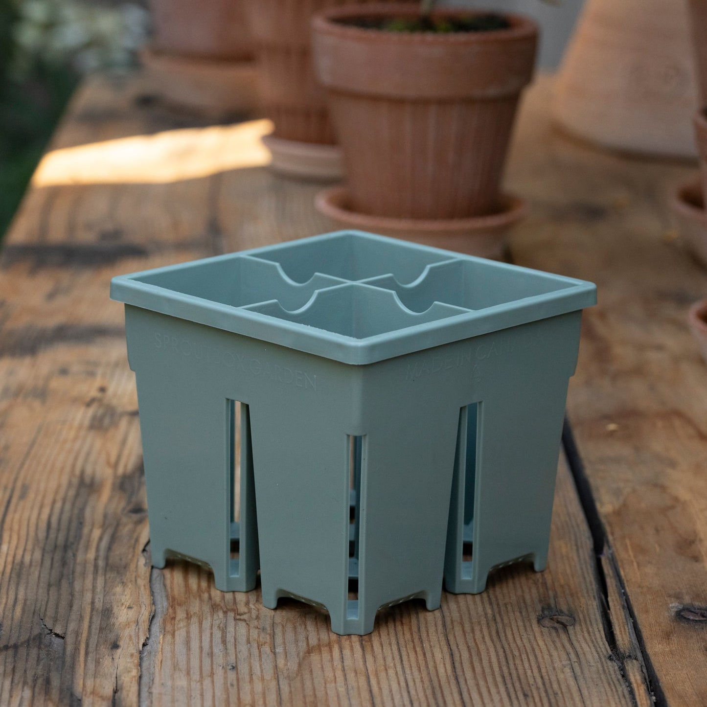 4-Cell Seed Starter