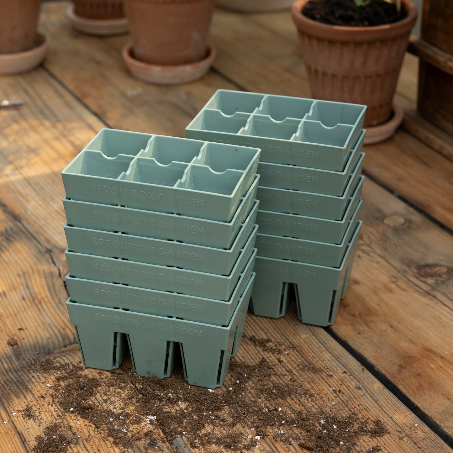 6-Cell Seed Starter Set