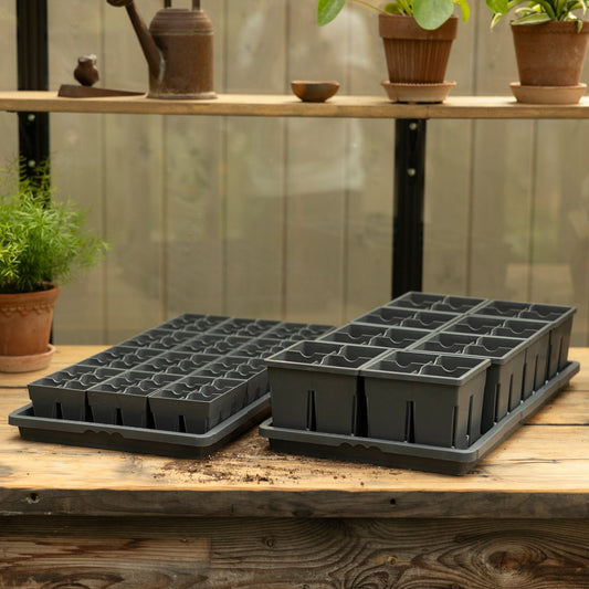 Two grey seedling trays on a wooden table with potted plants in the background.