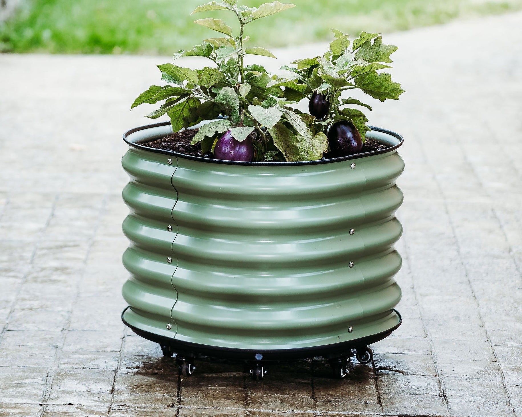 Rolling Garden Beds