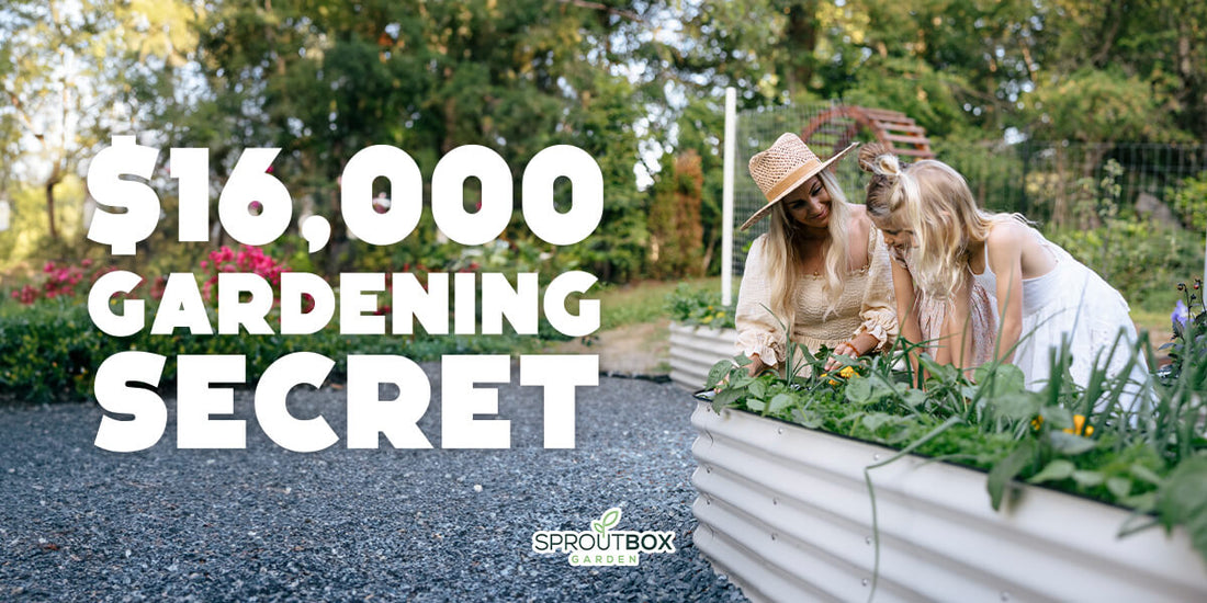 The $16,000 Secret Hiding in Your Backyard