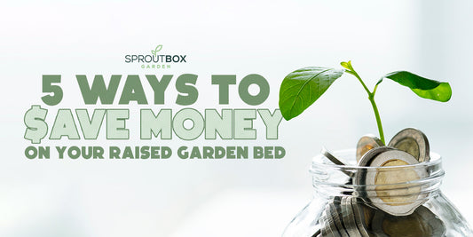 Gardening on a Budget: 5 Ways to Save Money on Your Raised Bed Garden