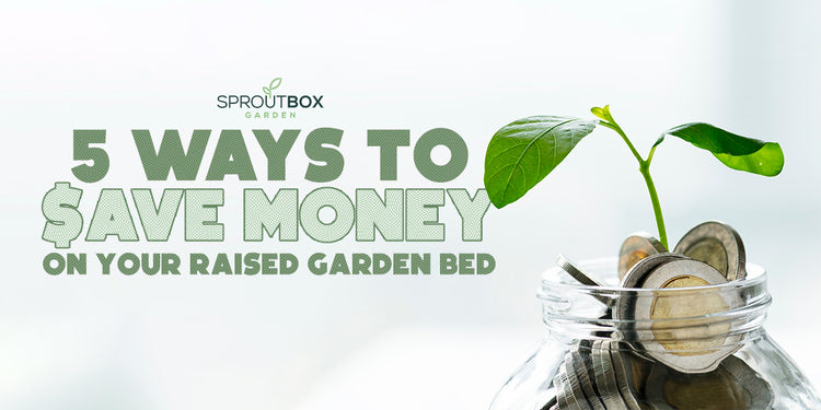 Gardening on a Budget: 5 Ways to Save Money on Your Raised Bed Garden ...
