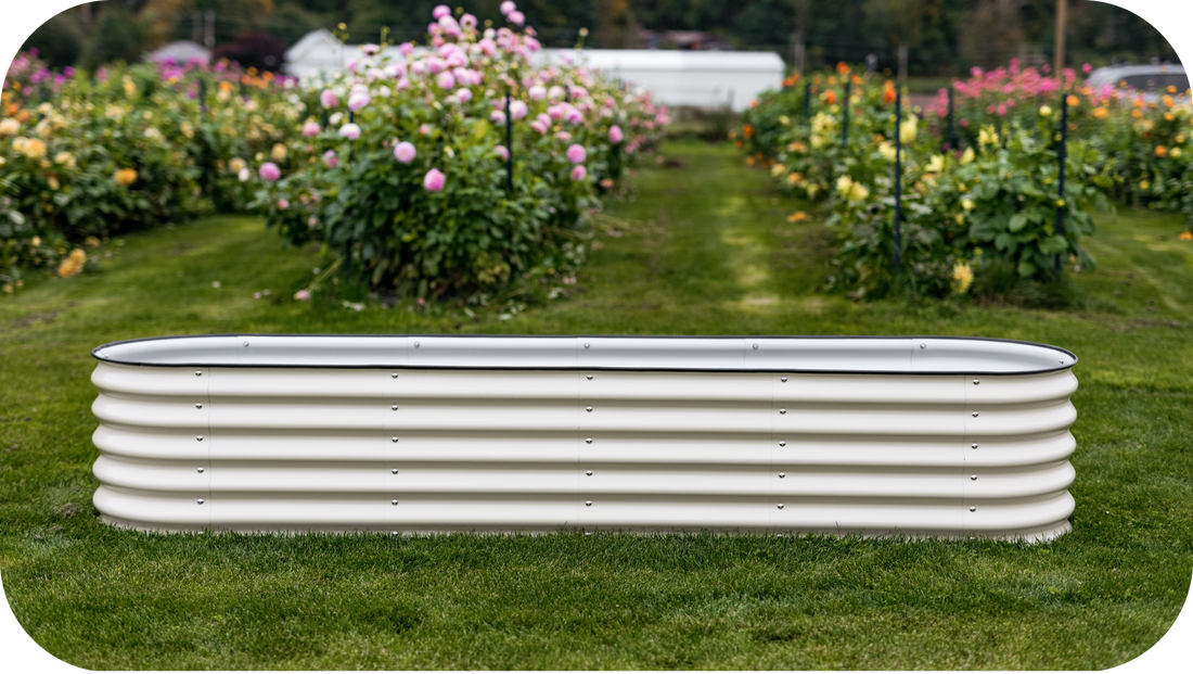 Why Raised Bed Gardening is Worth Your Time and Money