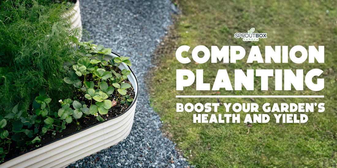 Companion Planting 101: Boost Your Garden’s Health and Yield