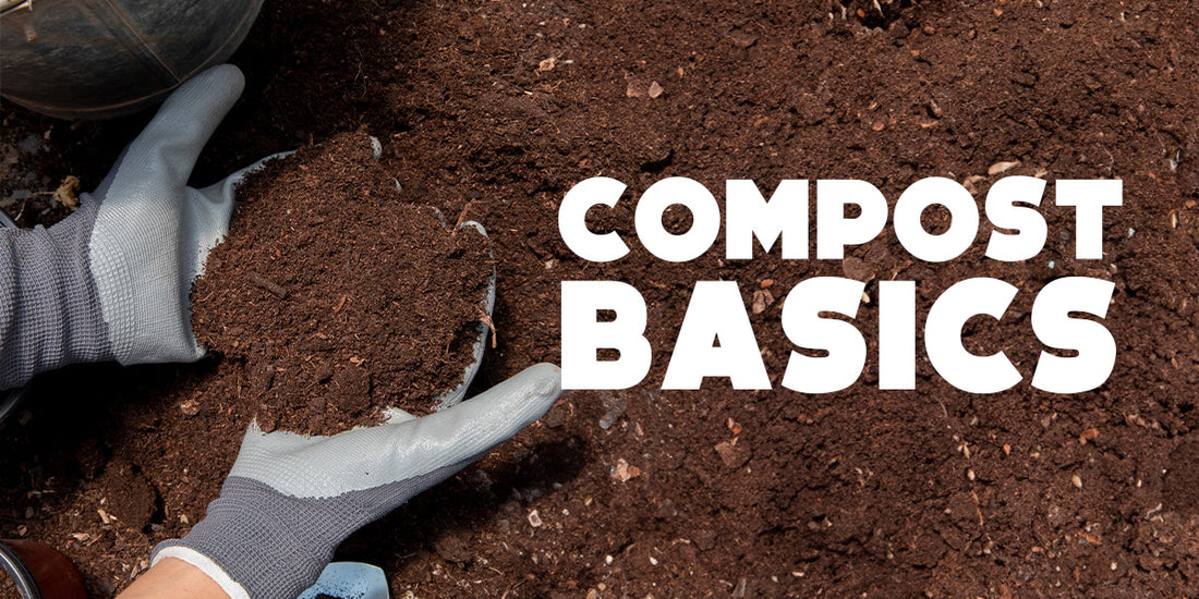 Turn Your Garden Scraps into Gold: Composting Secrets for a Thriving Garden