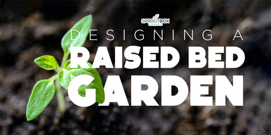 Designing a Raised Bed Garden - DIY Guide for Beginners