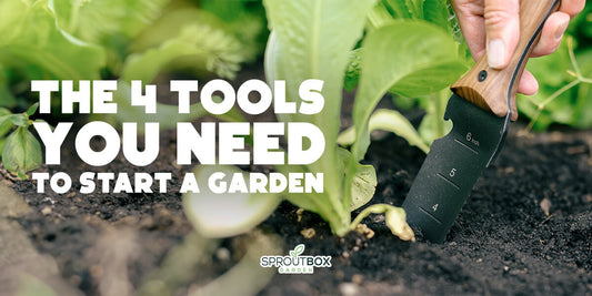 The ONLY 4 Gardening Tools You Need - Veggie Garden Essentials