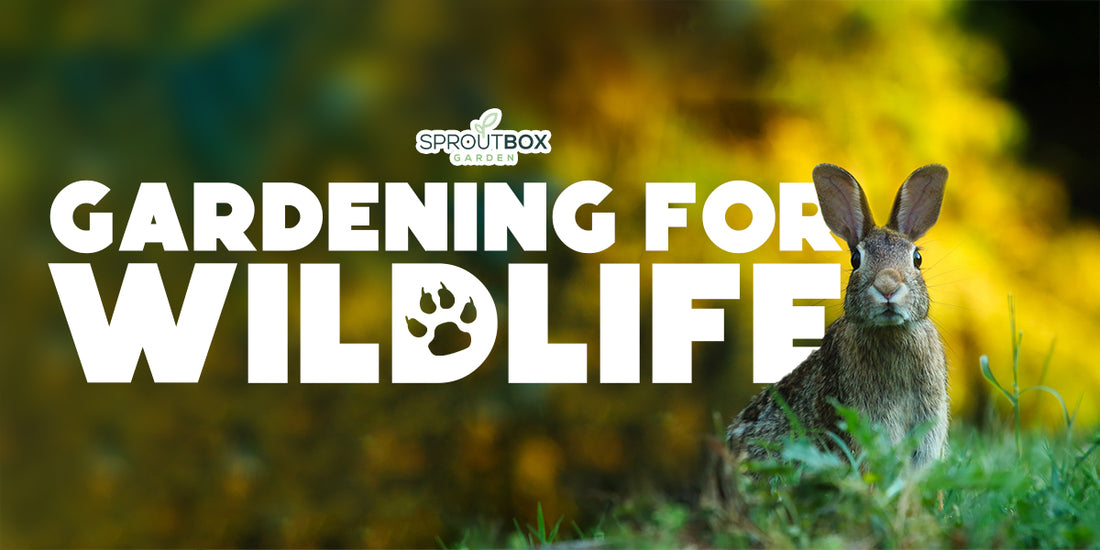 Gardening for Wildlife: How to Create a Habitat in Your Backyard
