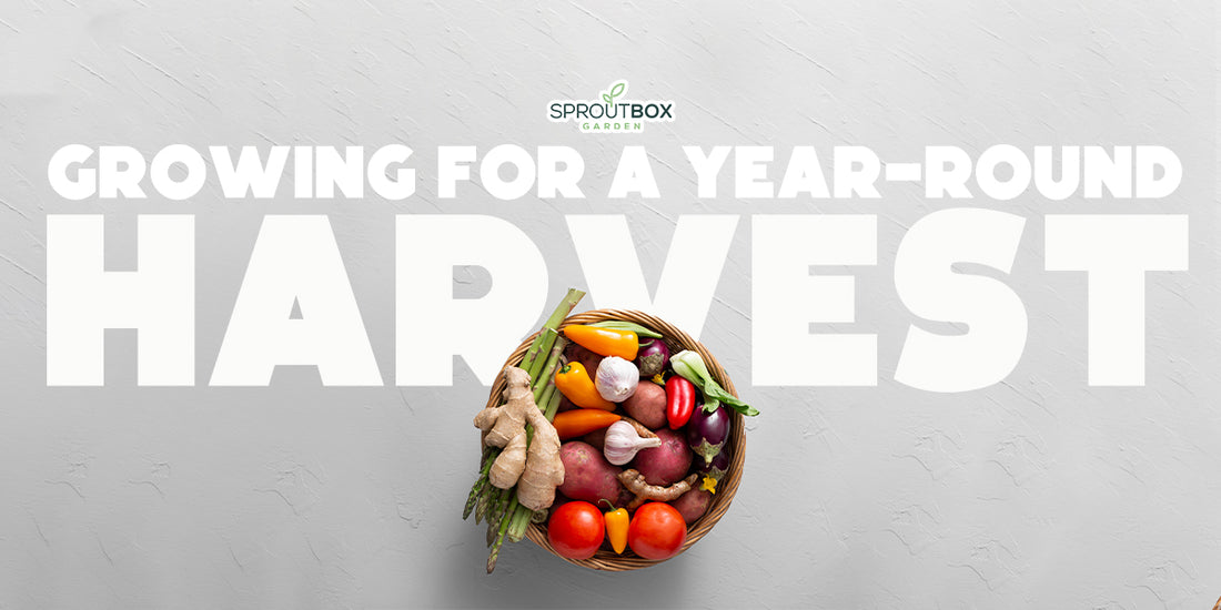 Growing for a Year-Round Harvests: A Beginner’s Guide to Seasonal Gardening.