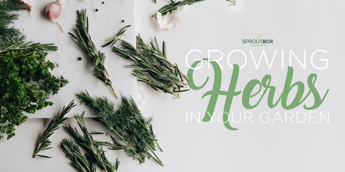Growing Herbs in Your Garden: Tips and Tricks for a Thriving Herb Garden