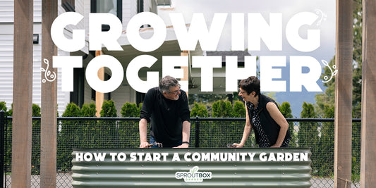 Growing Together: How to Start a Community Garden