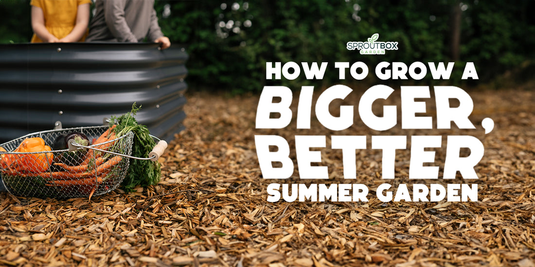 How To Expand Your Garden: Simple Tips for a Bigger, Better Summer Garden