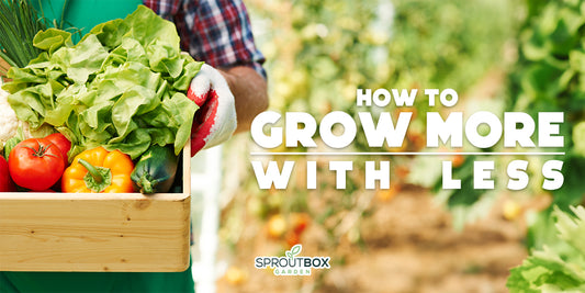 Maximizing Garden Space: Grow More with Less