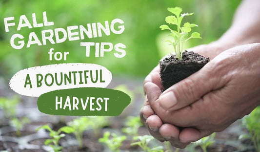 Fall Gardening Tips for a Bountiful Harvest