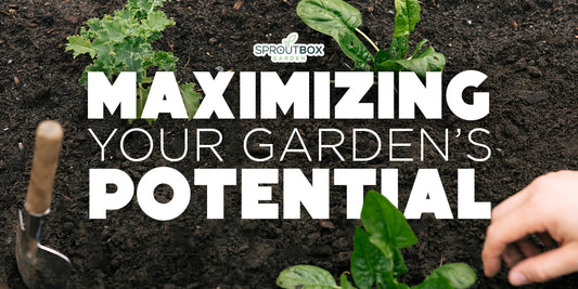 Maximizing Your Garden's Potential: How to Choose the Right Soil