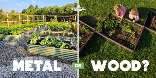 Metal Raised Garden Beds vs. Wood: Which is Right for You?