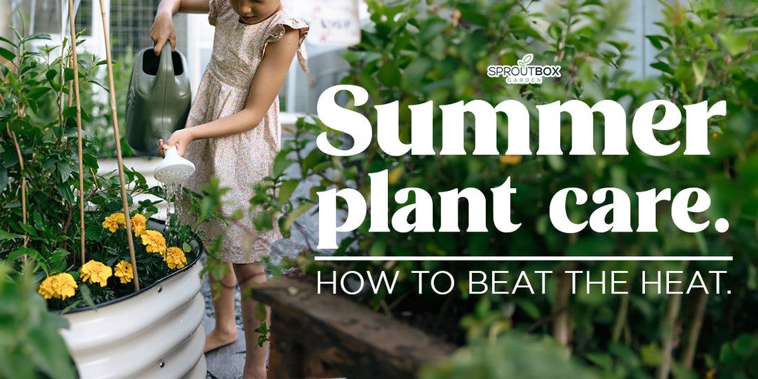 Mid-Summer Plant Care for Veggie Gardeners: Tips to Beat the Heat
