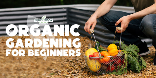 Organic Gardening 101: How to Grow Healthier Fruits and Vegetables