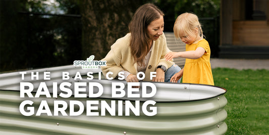 The Basics of Raised Bed Gardening: Everything You Need to Know