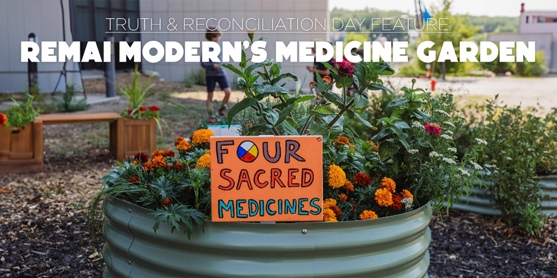 Featuring: The Medicine Garden at Remai Modern