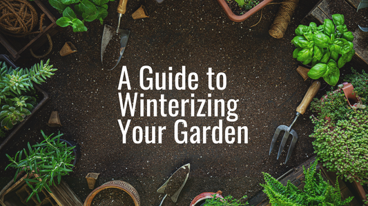 A Guide to Winterizing Your Garden