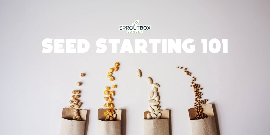 The Beginner's Guide to Seed Starting: Grow Strong Plants from Seed