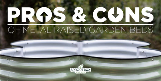 The Pros and Cons of Metal Raised Garden Beds