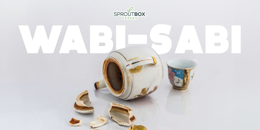 Hidden Gardening Lessons: Embracing Wabi-Sabi in Your Garden