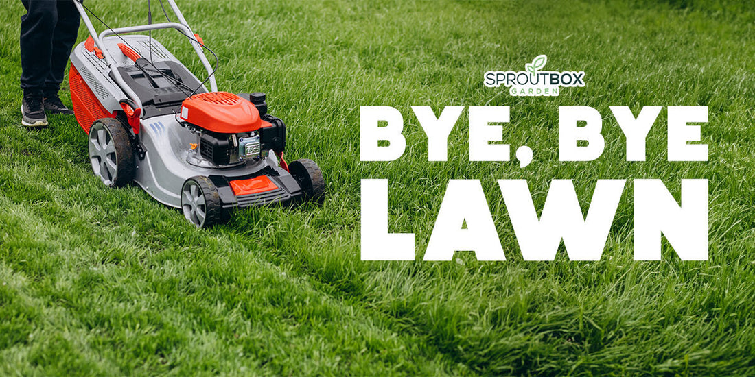 Is Your Lawn Holding You Back? Make the Switch to a Productive Garden