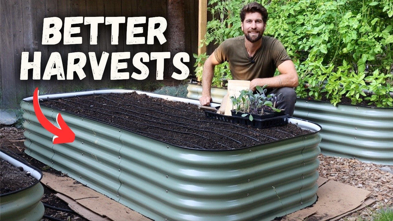 How to Set Up Metal Raised Garden Beds: Step-by-Step Guide for Beginne ...