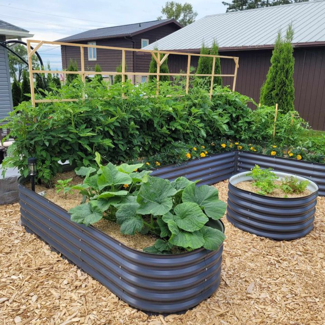 Raised Garden Beds – Sproutbox Garden