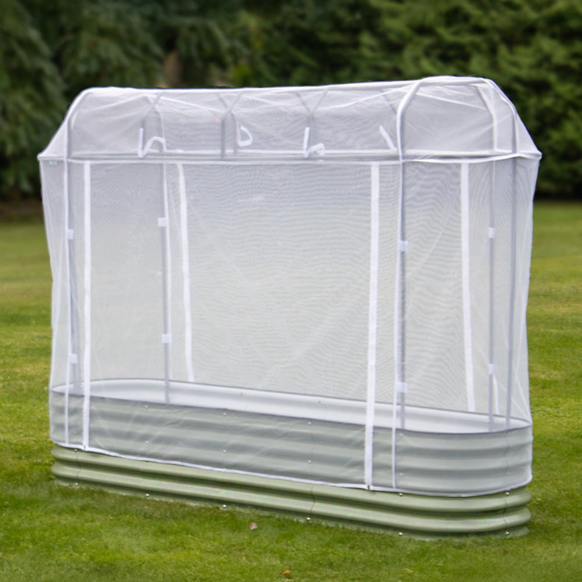raised garden bed with netting cover