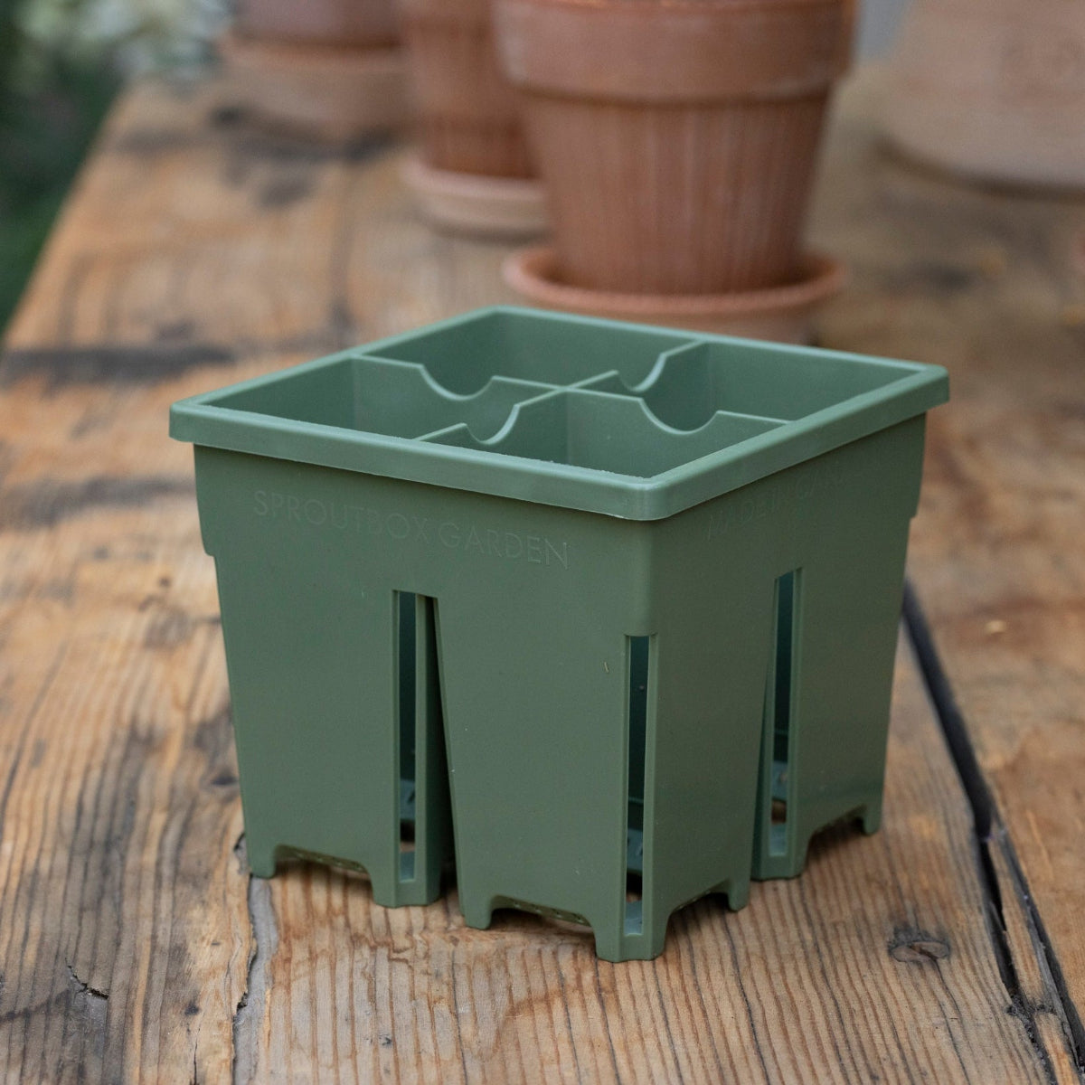 4-Cell Seed Starter