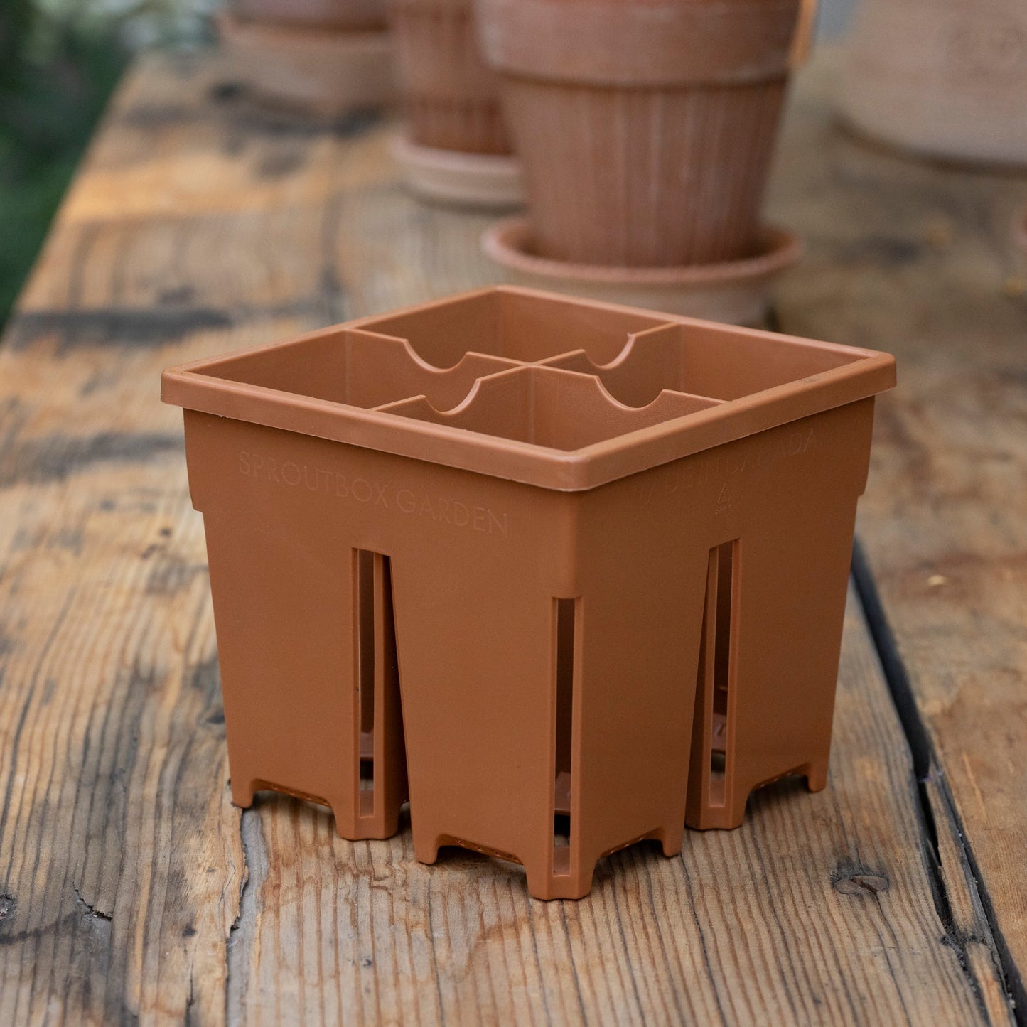 4-Cell Seed Starter