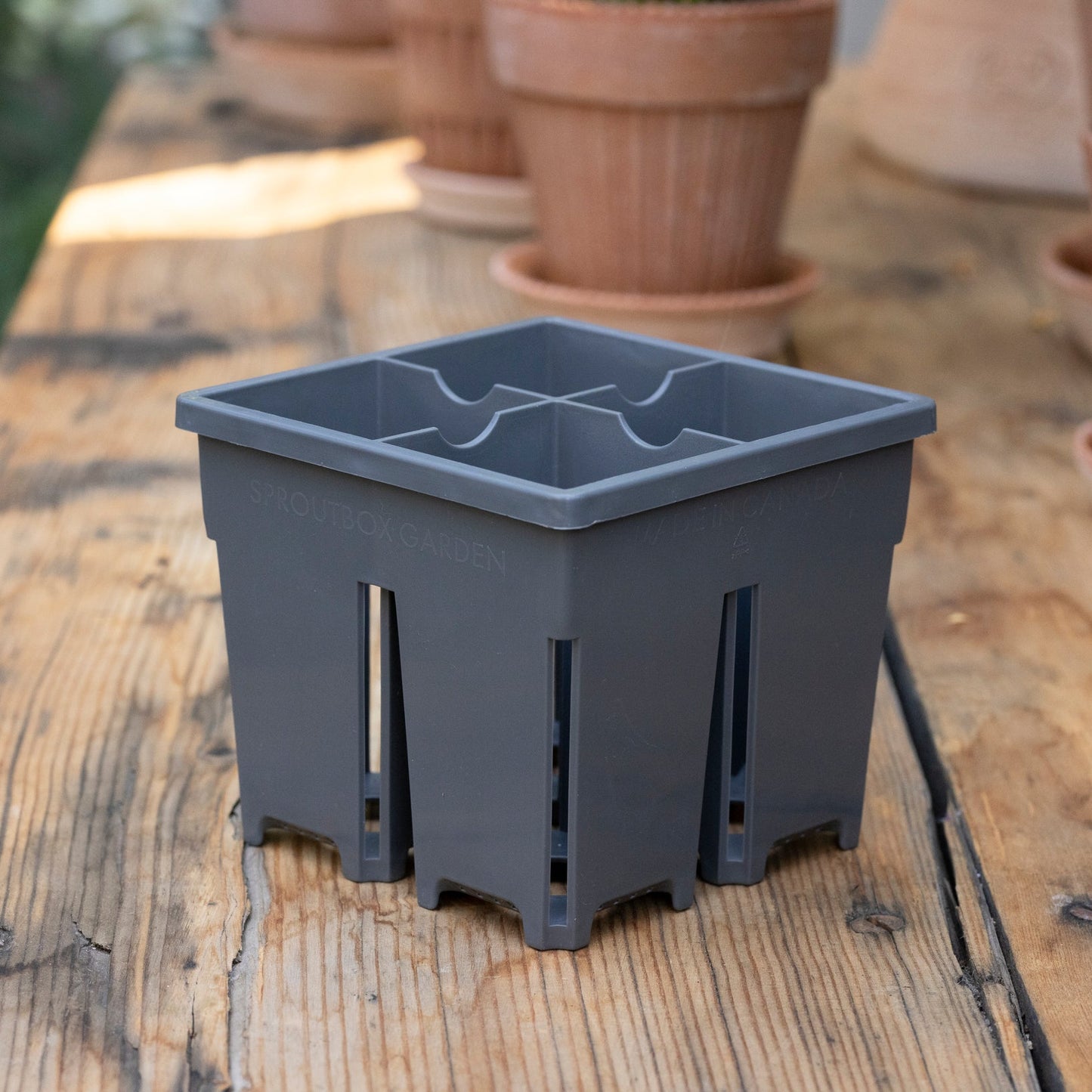 4-Cell Seed Starter