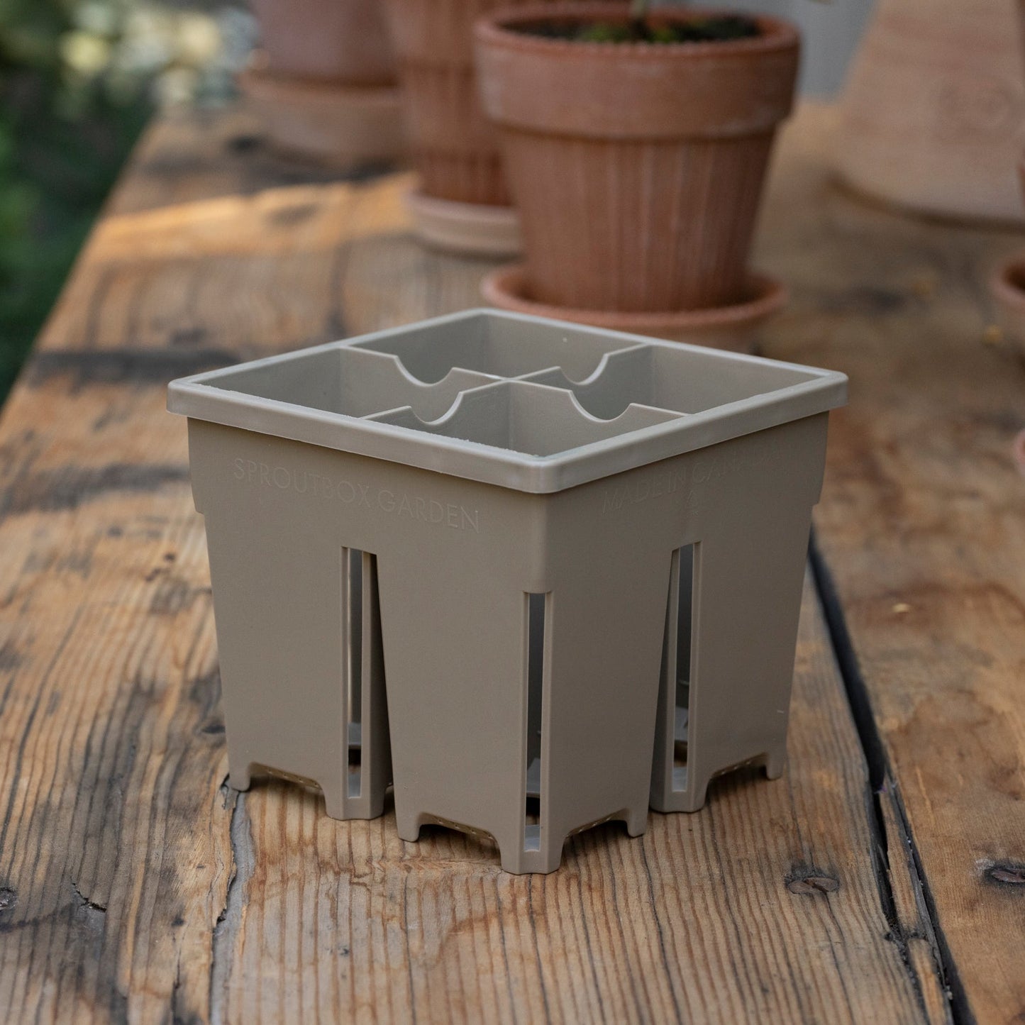4-Cell Seed Starter