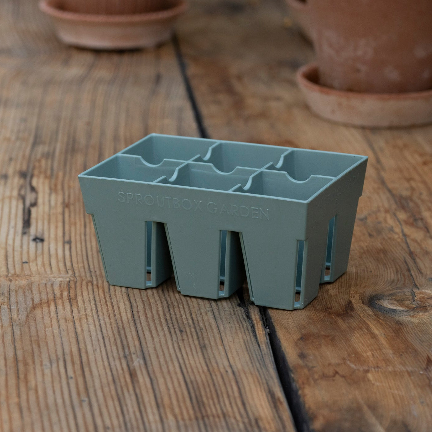 6-Cell Seed Starter