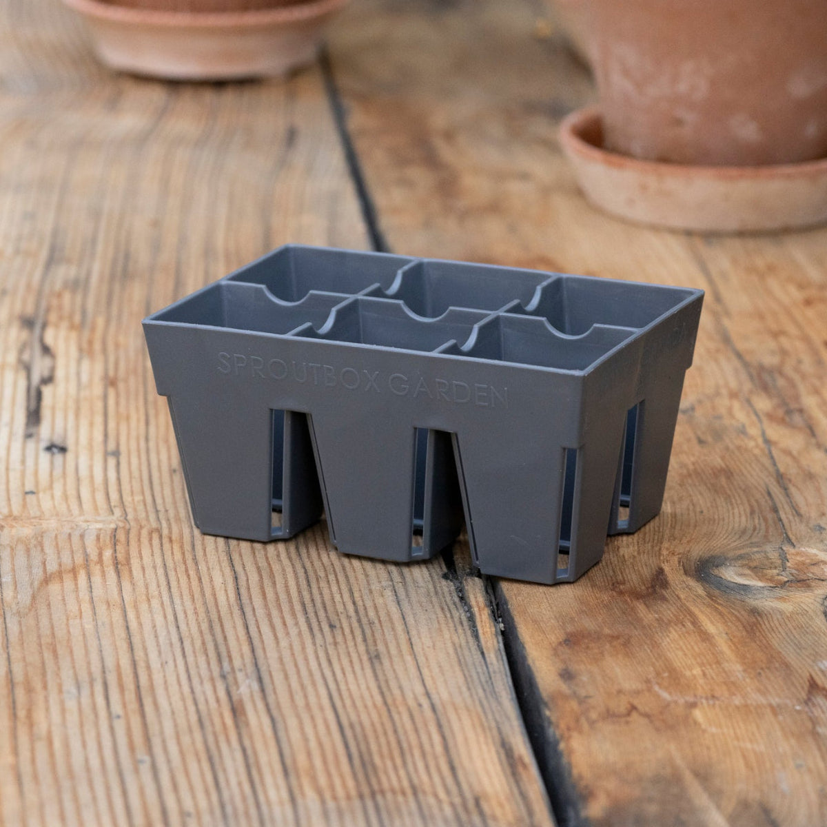 Gray plastic seedling tray on a wooden surface with terracotta pots in the background
