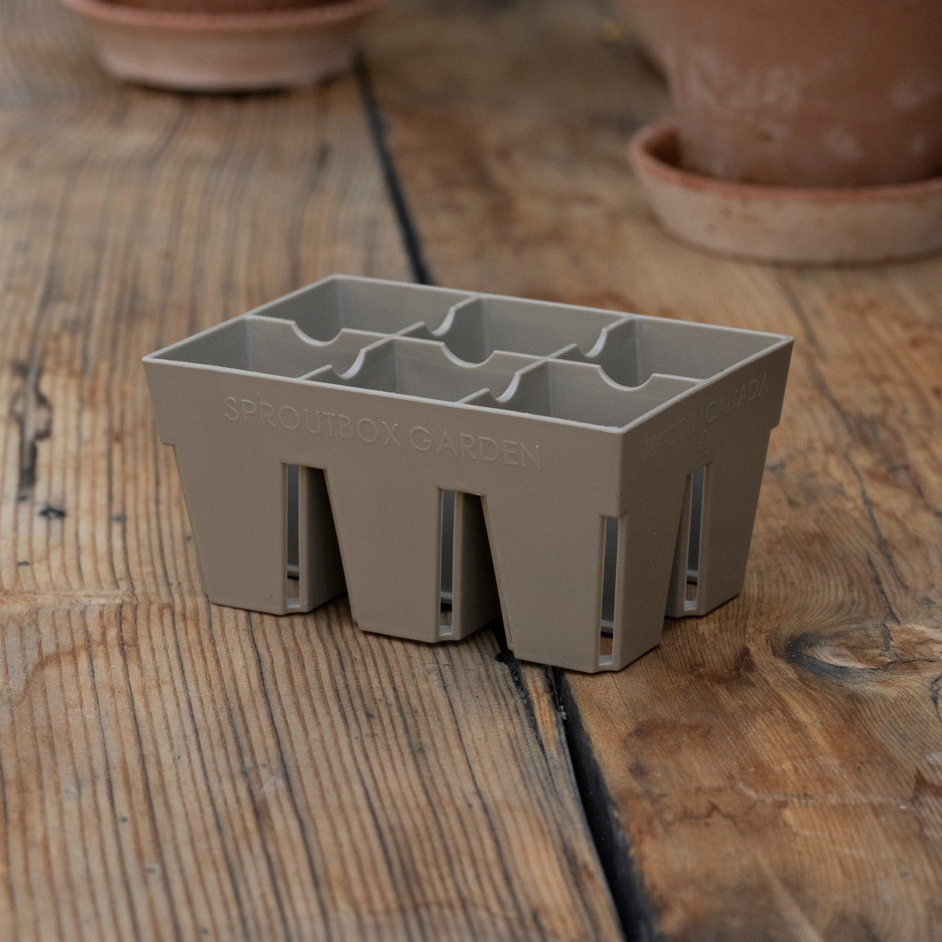 plastic plant tray on a wooden surface with terracotta pots in the background