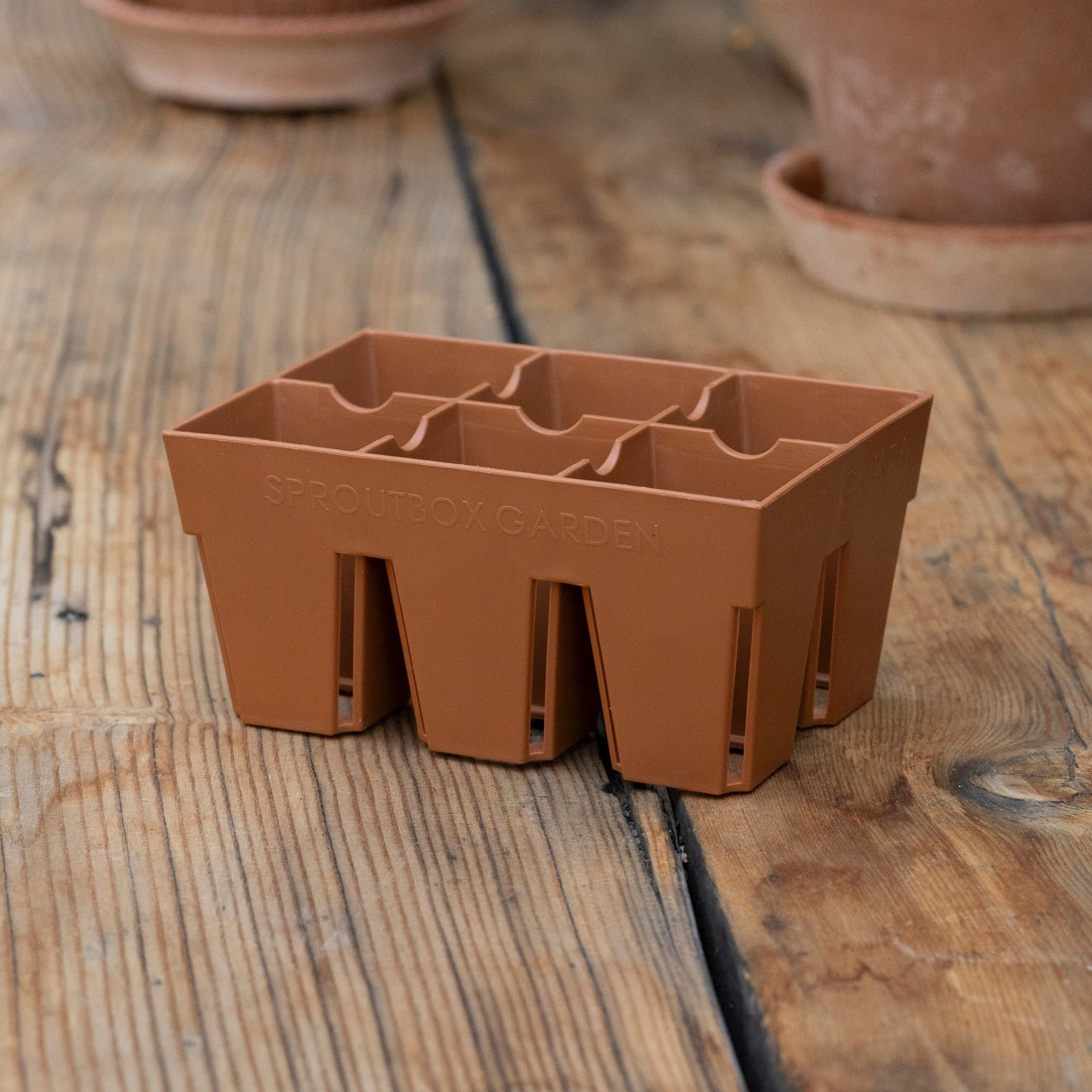 Brown plastic seedling tray on a wooden surface with terracotta pots in the background.