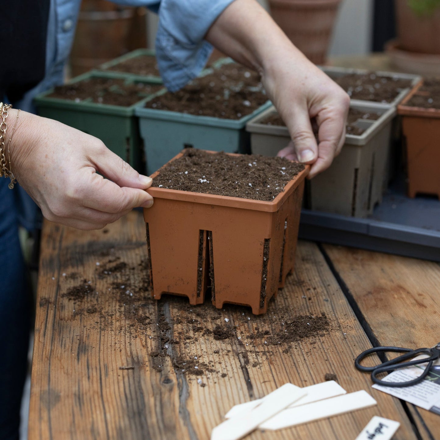 4-Cell Seed Starter Set