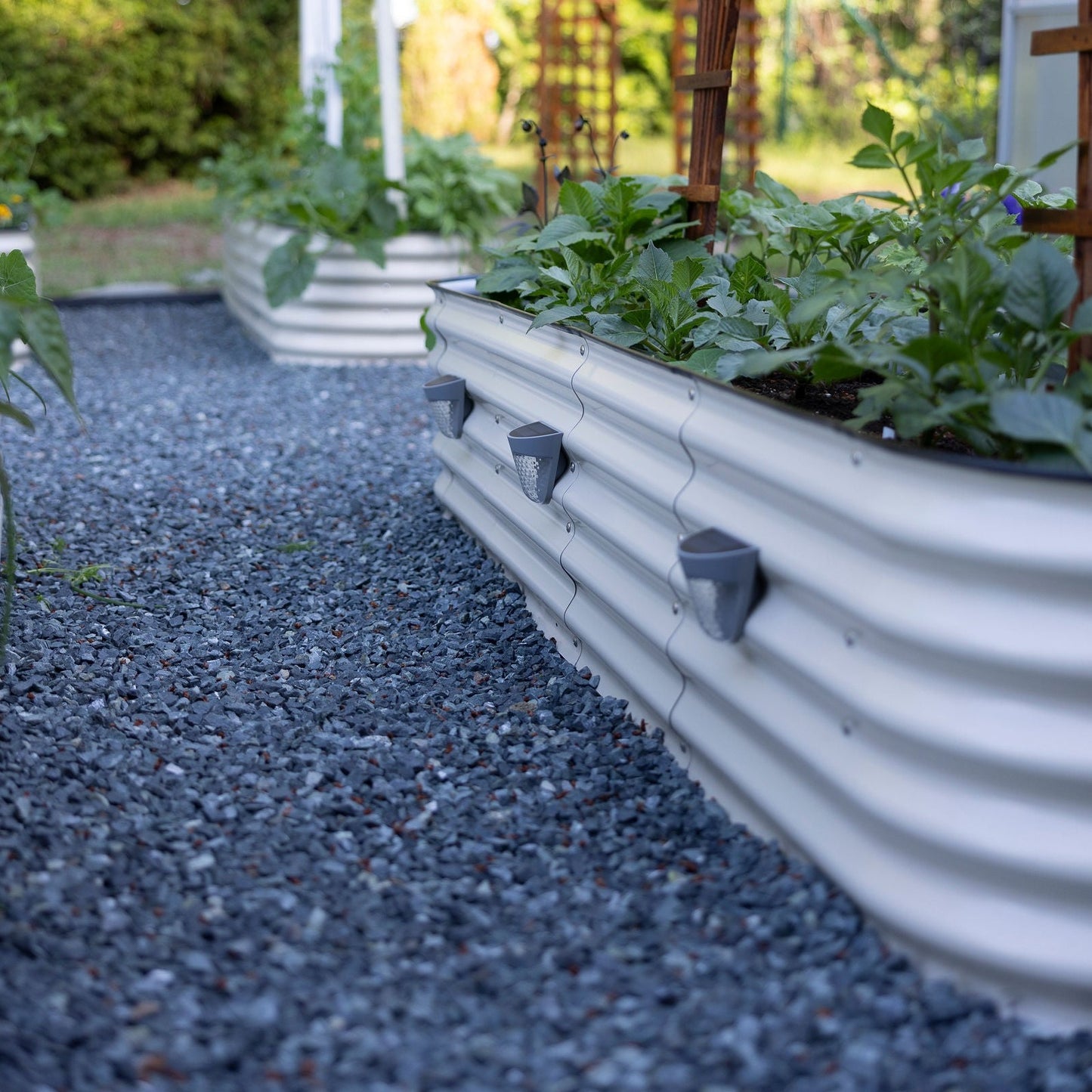 Solar LED Garden Lights