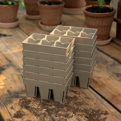 6-Cell Seed Starter Set